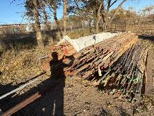 Firewood Kindling - Photo 2