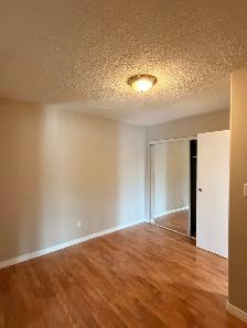 #928-5 ~ 1 Bedroom with H/W/P Included! $1250 Avail Nov 16th - Photo 3