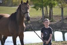 2022 Bucksin AQHA GELDING CBHI BEI - Photo 5