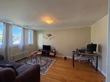 9A Kitchener Ave - Large ground level two bedroom apartment - Photo 3