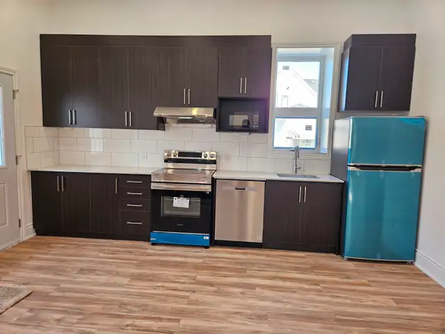 2 Bed 2 Bath Detached House Rent Kitchener