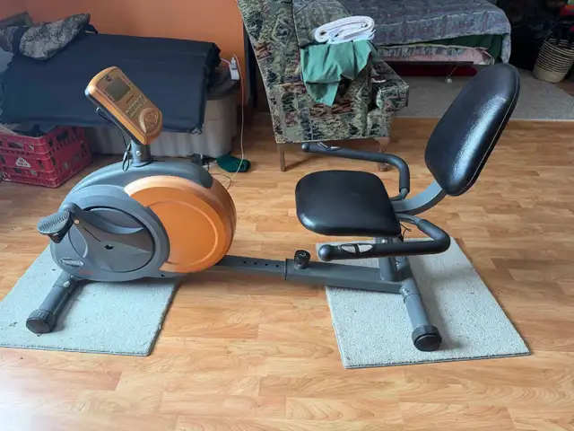 Free Spirit Exercise Bike