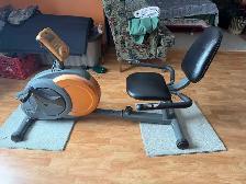 Free Spirit Exercise Bike