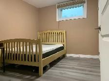 Spacious Main Floor&basemeRoom in Banff Trail close to UC/SAIT - Photo 6