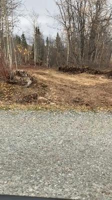 Nearly 1 acre in historic Atlin BC - Photo 2