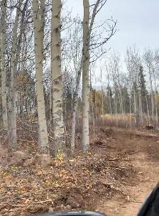 Nearly 1 acre in historic Atlin BC - Photo 3