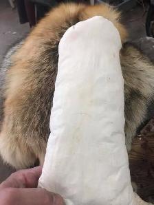 For all your taxidermy need’s - Photo 4