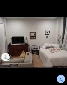 Furnished room for rent  in townhouse. Leslie and Sh