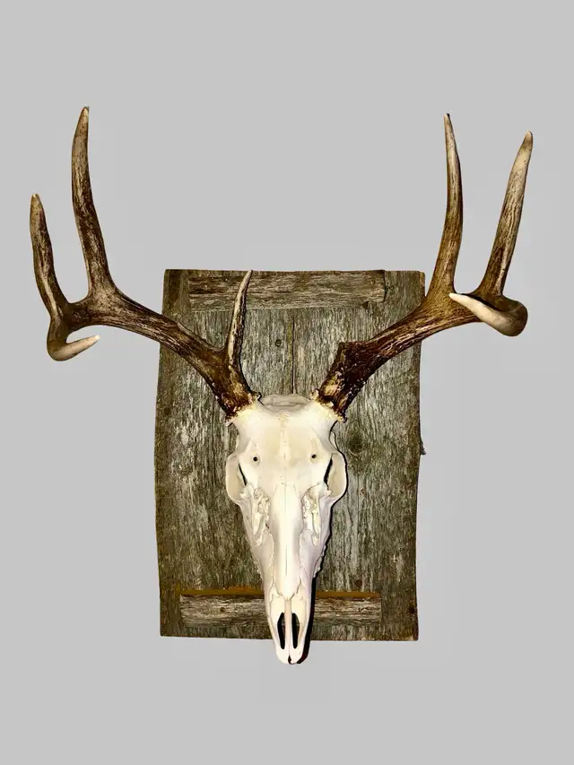 Euro Mounts we can do them all .