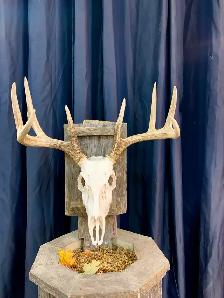 Euro Mounts we can do them all . - Photo 7