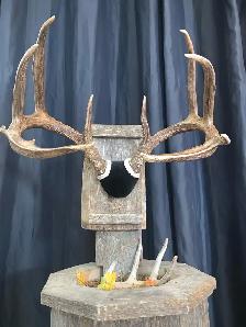 Euro Mounts we can do them all . - Photo 9