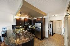 Luxury 1 bedroom   Den 1 bath condo - Photo 2