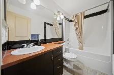 Luxury 1 bedroom   Den 1 bath condo - Photo 7