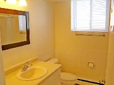 Available Nov, 2026 for $1,695 All Utilities and Parking Include - Photo 6