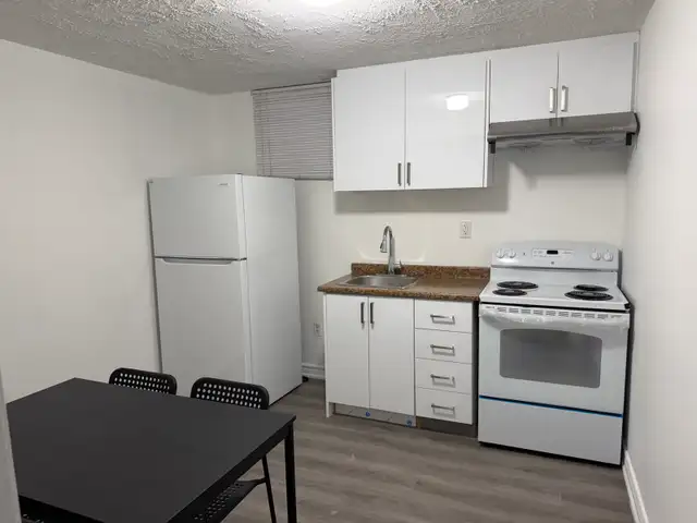 One bedroom basement apartment for rent
