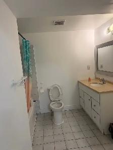 One bedroom basement apartment for rent - Photo 6
