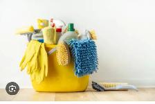 Cleaning 101