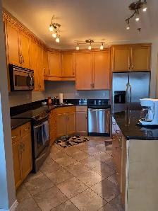 furnished riverfront condo for rent $2,800 per month - Photo 5