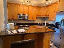 furnished riverfront condo for rent $2,800 per month - Photo 6