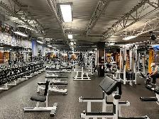 Toronto Personal Trainer – Weight Loss | Body recomp - Photo 4