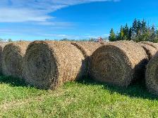 Hay for sale - No pesticides or herbicides - Photo 2