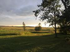 Hay for sale - No pesticides or herbicides - Photo 3