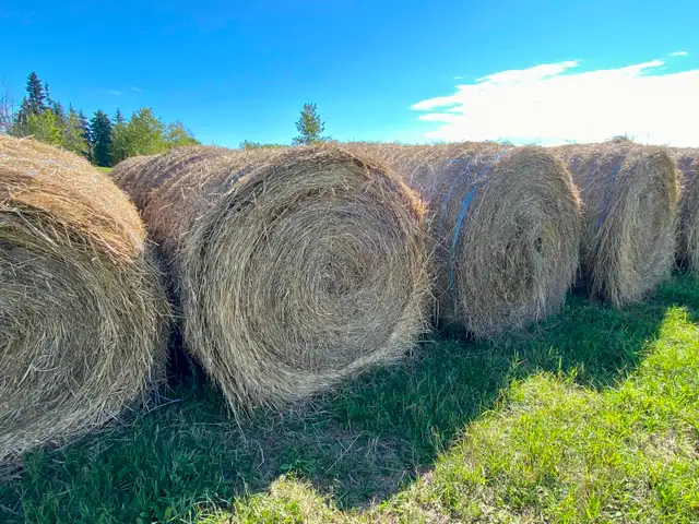 Hay for sale - No chemical sprays