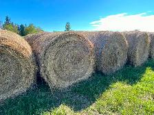Hay for sale - No chemical sprays