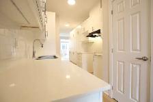 Brand New 2 Bed, 1.5 Bath Terrace Home, Orleans Village - Photo 3