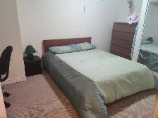 Basement Apartment Rent for Rent - Photo 5