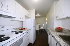 1, 2 & 3 BEDROOM APARTMENTS FOR RENT! - Photo 3