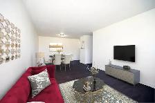 1, 2 & 3 BEDROOM APARTMENTS FOR RENT! - Photo 6