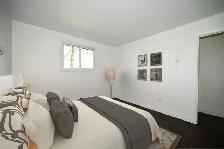 1, 2 & 3 BEDROOM APARTMENTS FOR RENT! - Photo 8