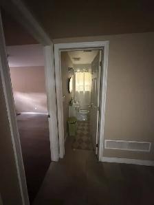 House Basement Unit for Rent - Photo 10