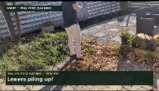 FALL YARD CLEANUP — WINNIPEG - Photo 2