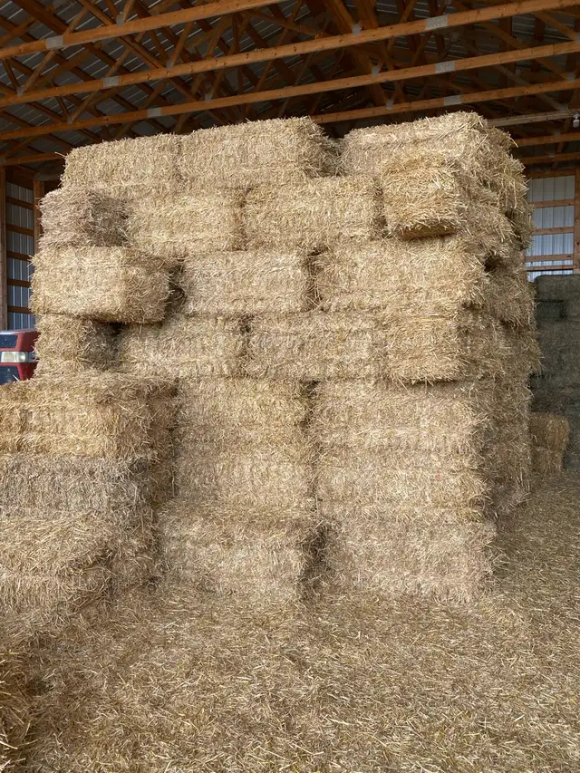 Square Straw Bales