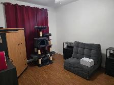 Cozy 2 Bedroom Apartment in Hull — $1,375/Month - Photo 8