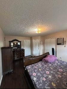 Room for rent in Brampton - Photo 3