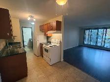 Spacious 1-Bedroom Apartment Near U of A – $1,250/Month!