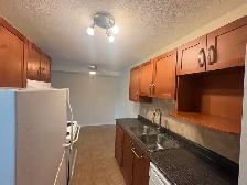 Spacious 1-Bedroom Apartment Near U of A – $1,250/Month! - Photo 3