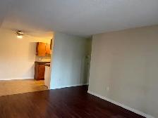 Spacious 1-Bedroom Apartment Near U of A – $1,250/Month! - Photo 4
