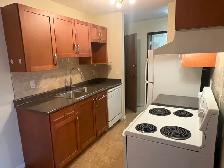 Spacious 1-Bedroom Apartment Near U of A – $1,250/Month! - Photo 9