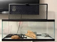 Exo Terra Glass Terrarium