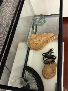 Exo Terra Glass Terrarium - Photo 3
