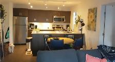 Modern 2 Bed, 2 Bath Apartment Lease Assignment in Island Lakes