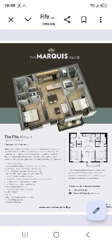 Modern 2 Bed, 2 Bath Apartment Lease Assignment in Island Lakes - Photo 12