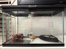 Glass Reptile Terrarium
