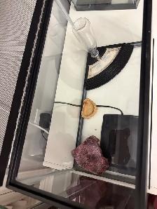 Glass Reptile Terrarium - Photo 2