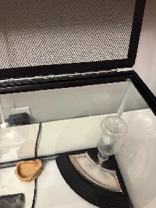 Glass Reptile Terrarium - Photo 3