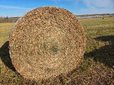 2nd Cut Hay For Sale - Photo 2
